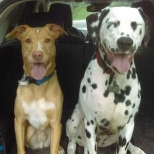 Meet your Posher, Isaac